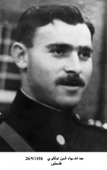 صور الشهداء