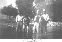 صور جماعية عامة_5