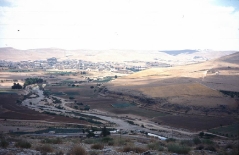 بلدة السخنة_10