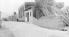 بلدة السخنة_15