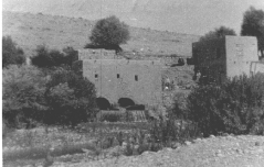 بلدة السخنة_16