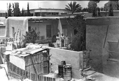 بلدة السخنة_19