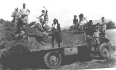 بلدة السخنة_33