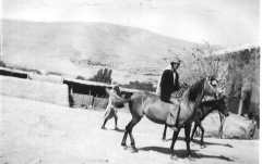 بلدة السخنة_39