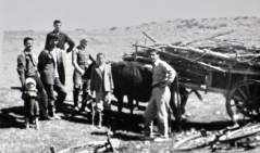 بلدة السخنة_41