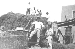 بلدة السخنة_46