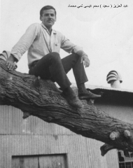 بلدة السخنة_4