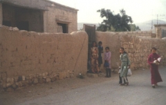 بلدة السخنة_79